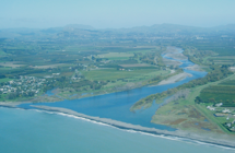 Tukituki Estuary