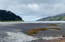 Port Levy/Koukourārata