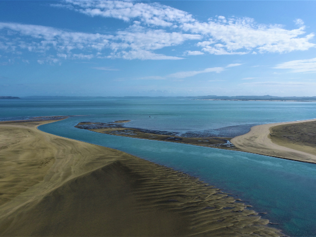 Kaipara Harbour (South)