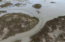 Manawatū Estuary