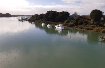 Tāmaki Estuary