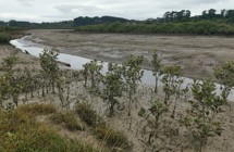 Tūranga