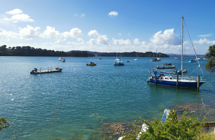 Mahurangi Harbour