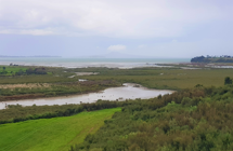 Waikopua
