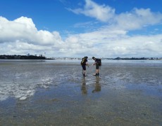 Upper Shoal Bay Sampling