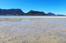 Whangarei