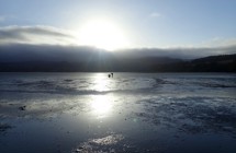 Blueskin Bay