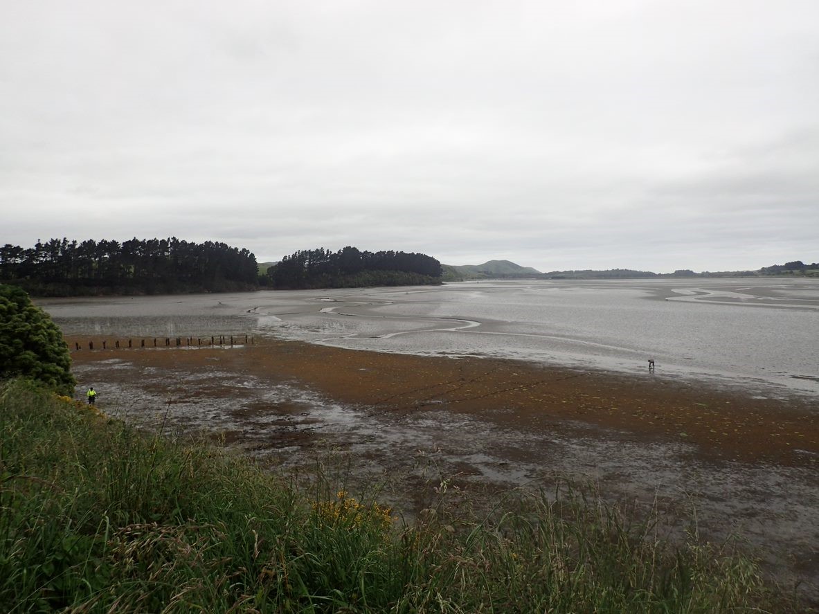Catlins Estuary