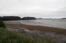 Catlins Estuary