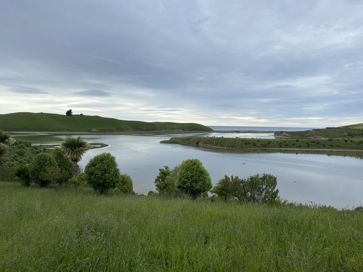 Pleasant River Estuary