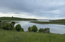 Pleasant River Estuary