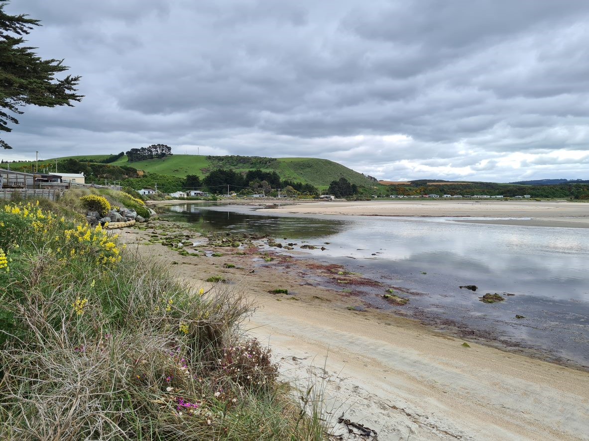 Tokomairiro Estuary