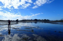 Waikouaiti Estuary