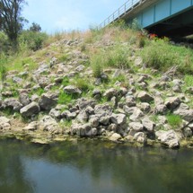 Waiomoko