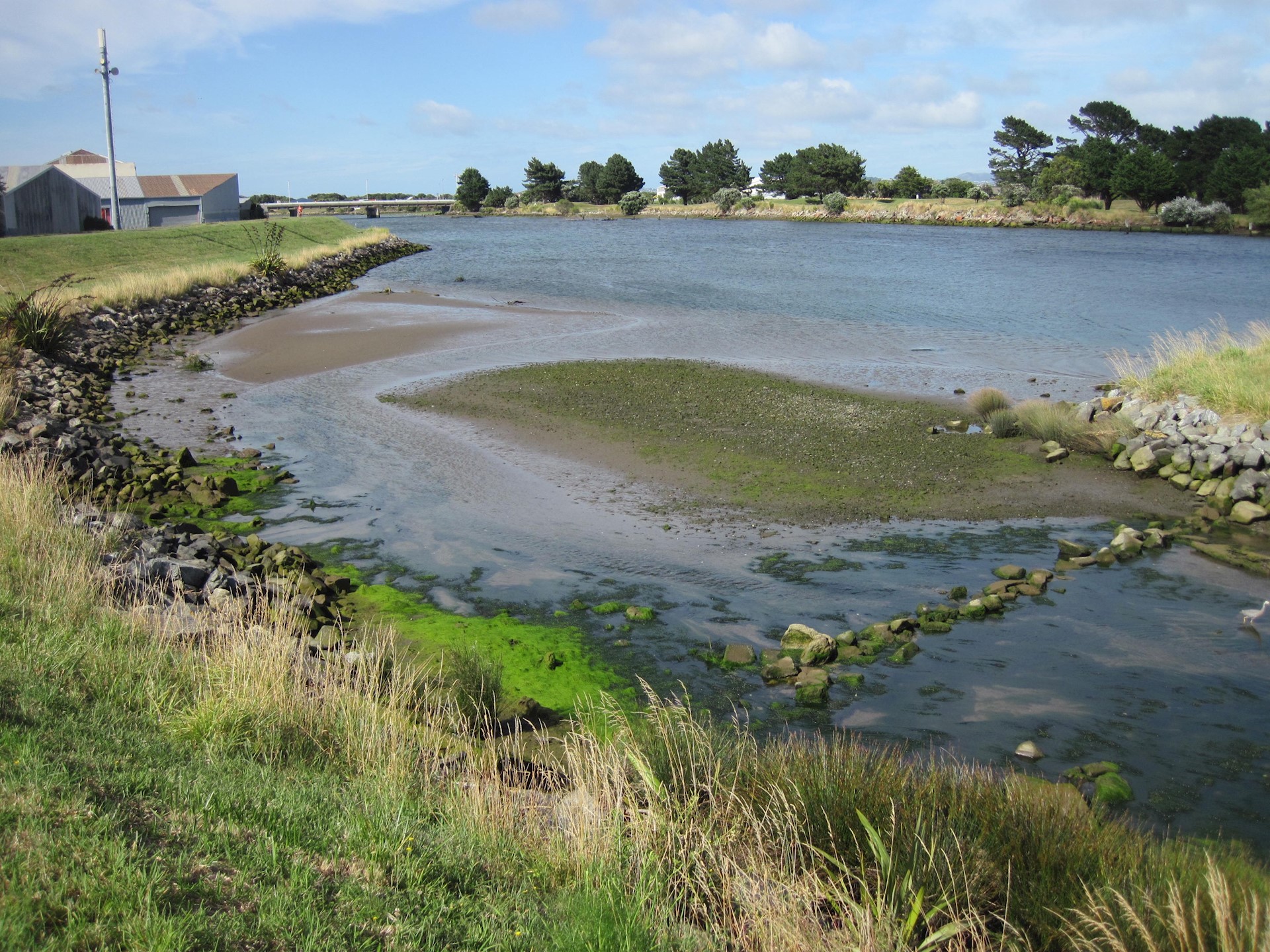 Hutt Estuary
