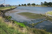 Hutt Estuary