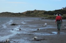 Waikanae Estuary