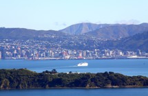 Wellington Harbour