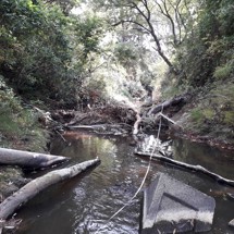 Oratia Stream