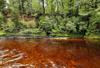 Nelson Ck @ Swimming Hole Reserve