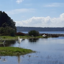  Lake Mahinapua
