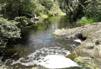 Rangitopuni @ Mill Flat RD (15)