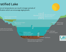 LAWA Stratified Lake