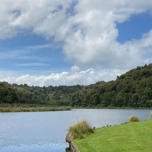 Lake Rotokare