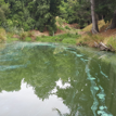 Saltwater Creek (Timaru)