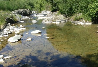 Hae Hae Te Moana Gorge