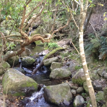 Grehan Stream