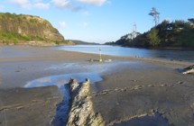 Pātea