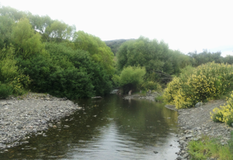Oaro River