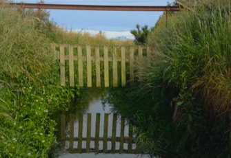 Parakanoi Drain
