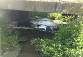Parakanoi Drain downstream