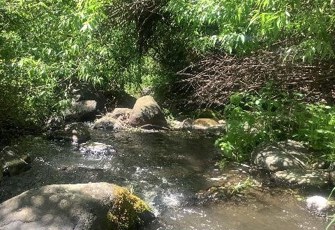 Little Akaloa downstream