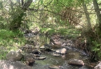 Little Akaloa upstream
