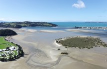 Whangateau