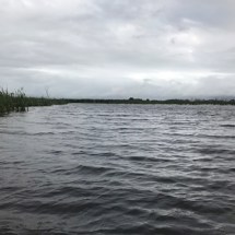 Boggy Pond