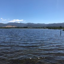 Bartons Lagoon