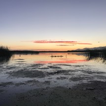 Matthews Lagoon