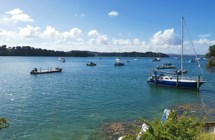 Mahurangi Harbour