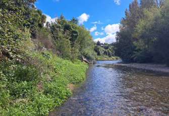 Waihi River u/s Wilson Street Bridge