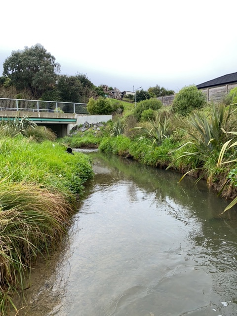 Wai-o-hata (Duck Creek)