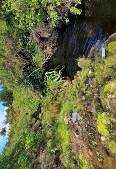 Te Awainanga River at Waitangi Wharf Owenga Road (1)