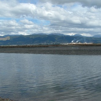 Tasman region