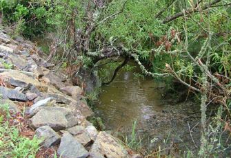 Duncan Stream Landscape
