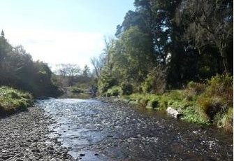 Ronga River Landscape
