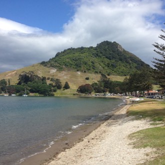Bay of Plenty region