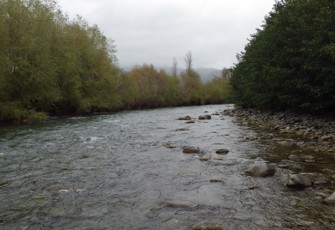 South Asbhurton River at Quarry Road Upstream